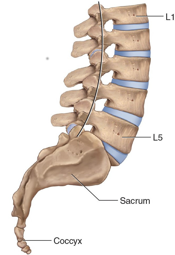 terapia colonna lombare dolore mal di schiena ernia